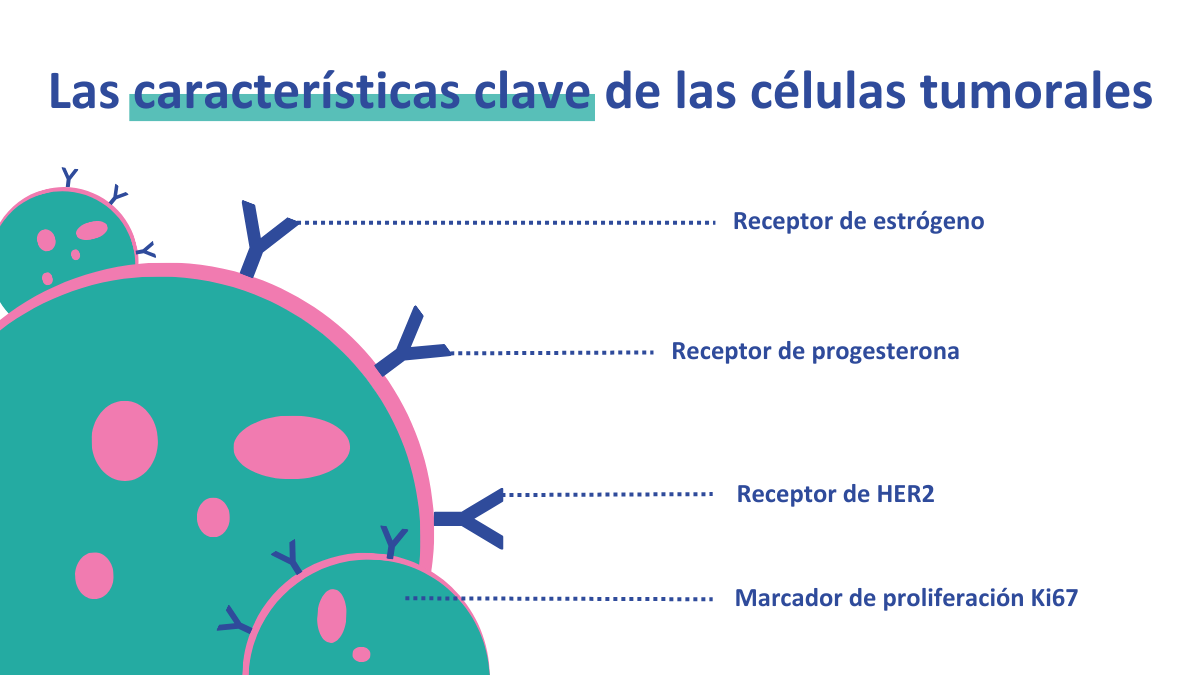 Infografía que resume las características más relevantes de una célula tumoral de cáncer de mama
