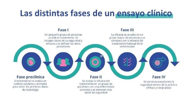 fases ensayo clinico Fases de un ensayo clínico